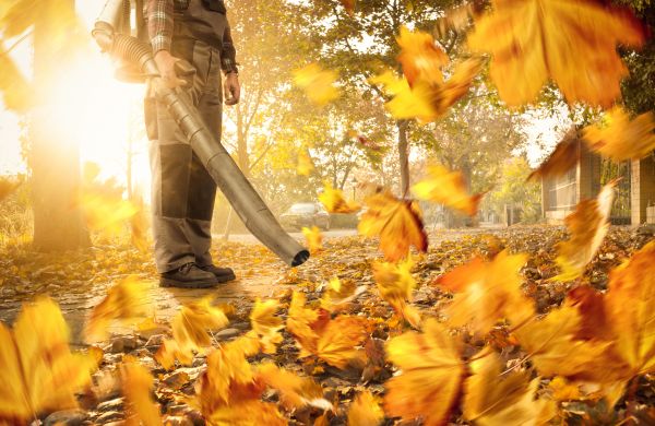 Leaf Blowing Service in Vacaville