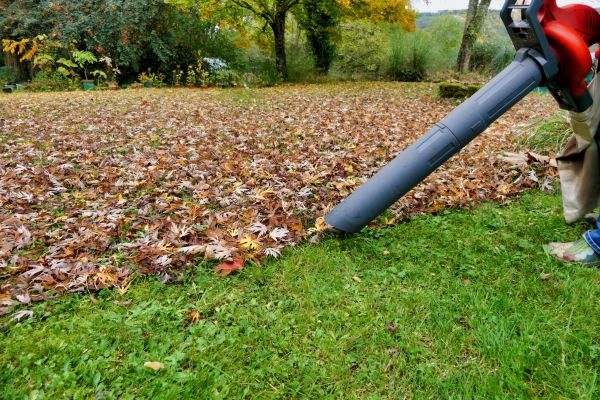 Leaf Vacuuming Service in Vacaville