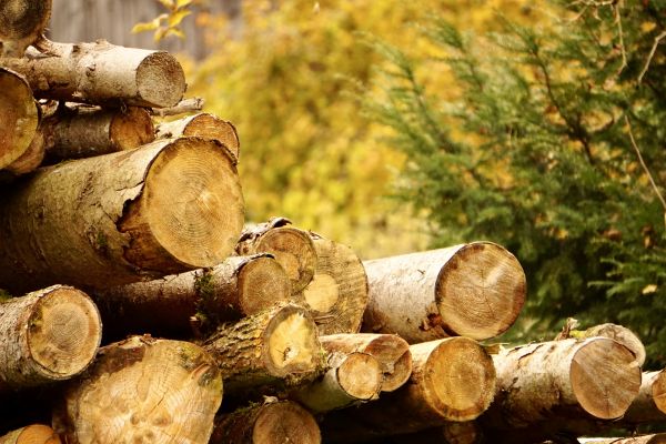 Wood Pile Removal in Vacaville
