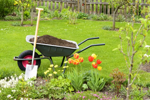 Cost of Spring Yard Cleanup in Vacaville
