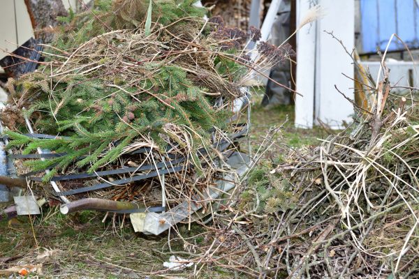 Yard Waste Removal Service in Vacaville