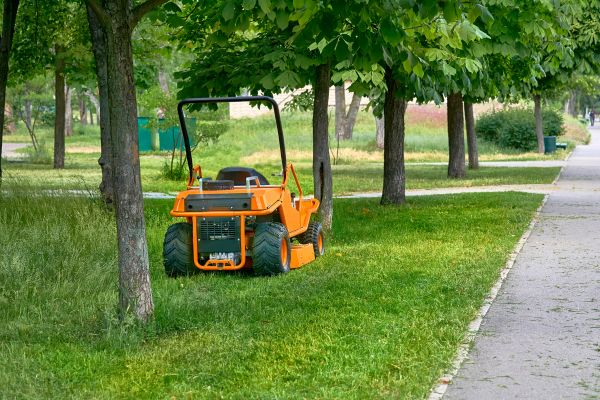 Landscaping Cleanup Service in Vacaville