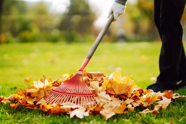Cost of Ditch Leaf Removal in Vacaville