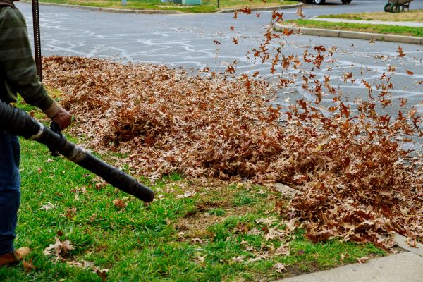Cost of Garden Leaf Removal in Vacaville