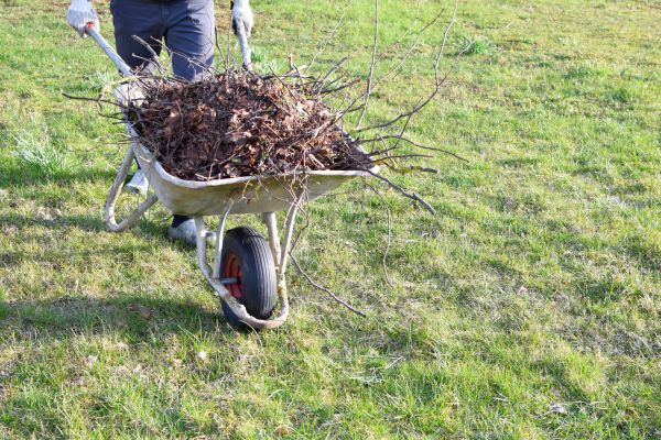 Yard Brush Removal in Vacaville