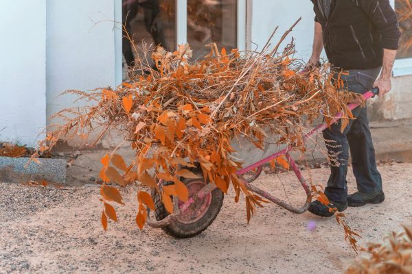 Lawn Debris Cleanup in Vacaville