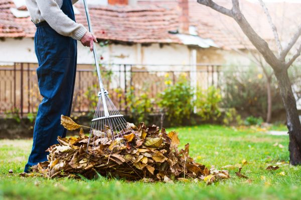 Spring Lawn Cleanup in Vacaville