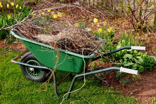 Lawn Waste Removal in Vacaville