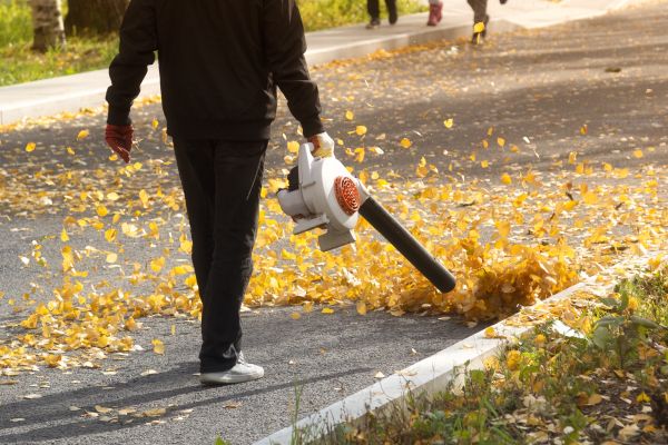 Commercial Leaf Removal in Vacaville