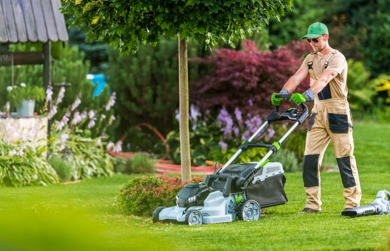 Summer Lawn Maintenance